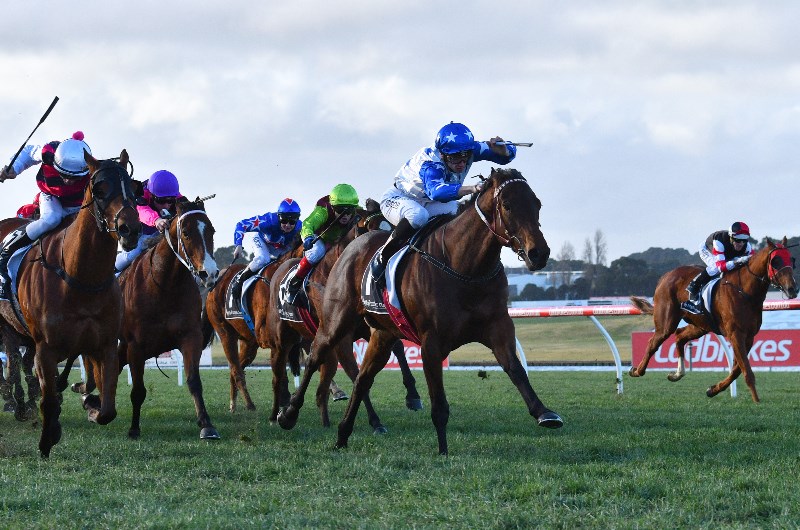 Morphettville Betting Tips for October 31, 2026 - A Winning Fling on the Cards