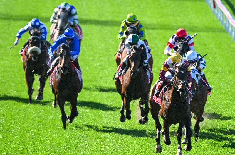 Ascot tips for 31.10.2026