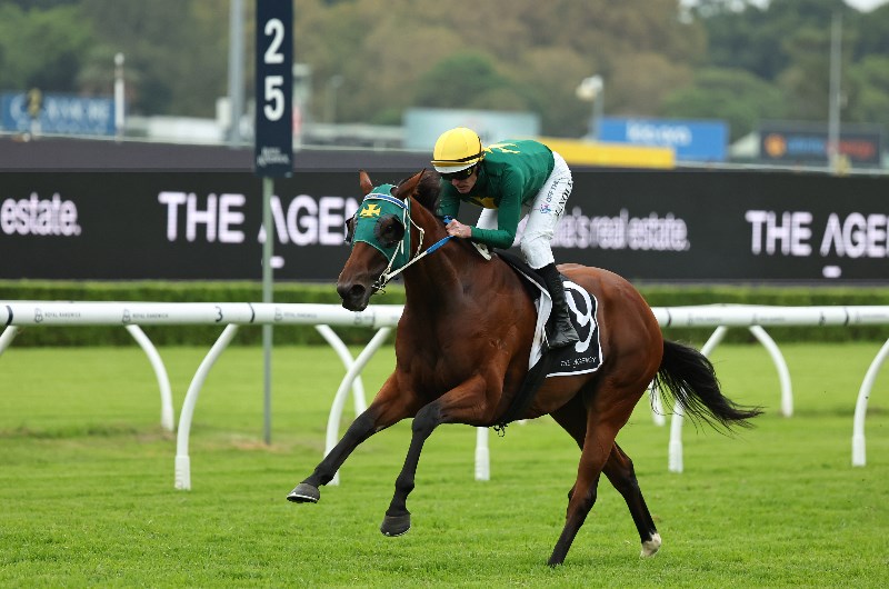 Big Saturday Bets for October 31