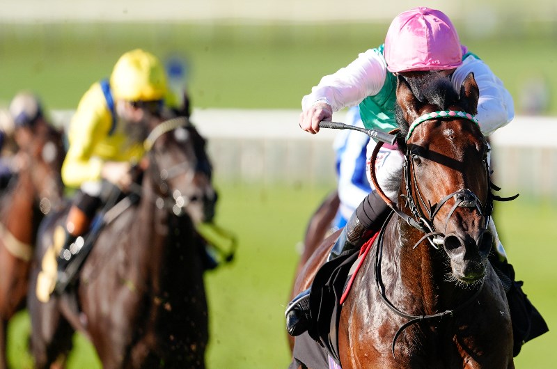 Kenilworth racing