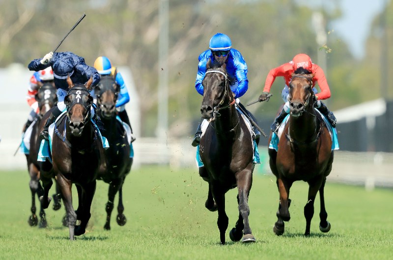 Muswellbrook tips - 01/11