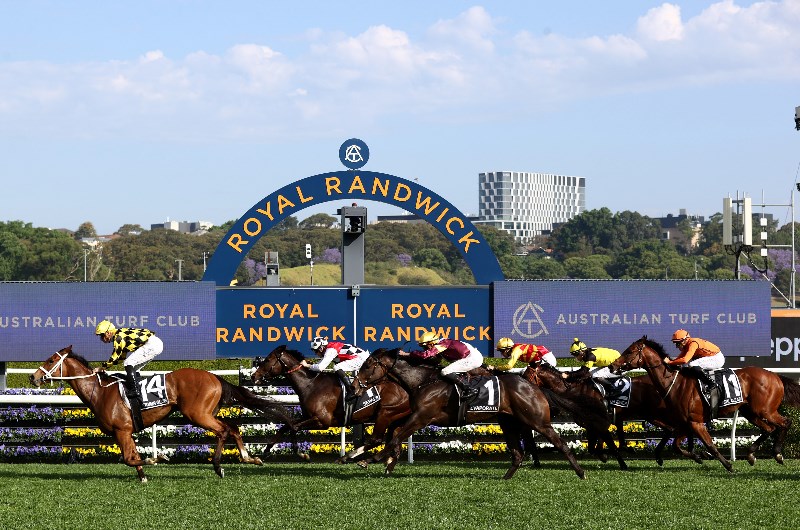 Randwick tips for 31.10.2026