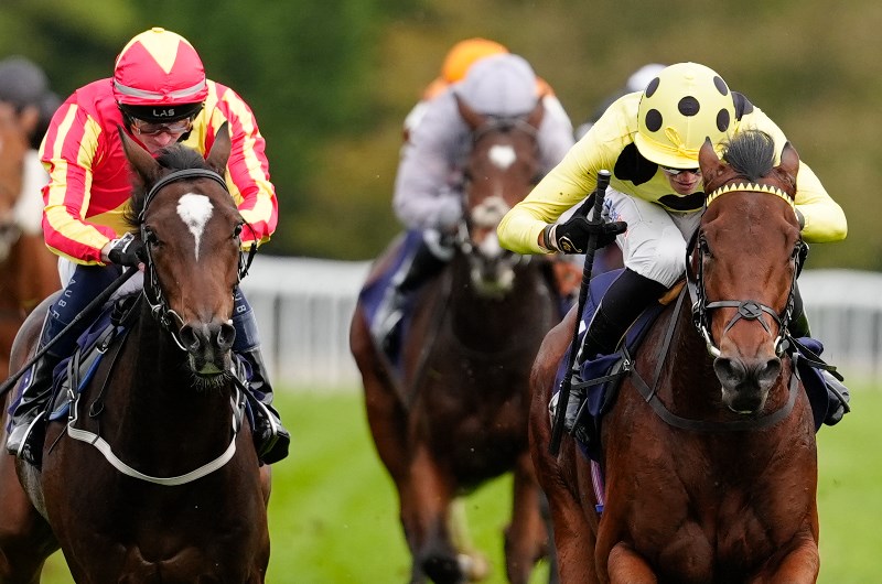 Turffontein racing