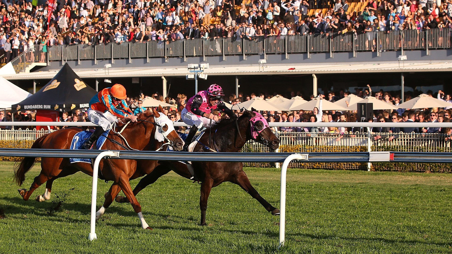 Doomben Betting Tips for October 31, 2026 - Chief In Charge Takes Command