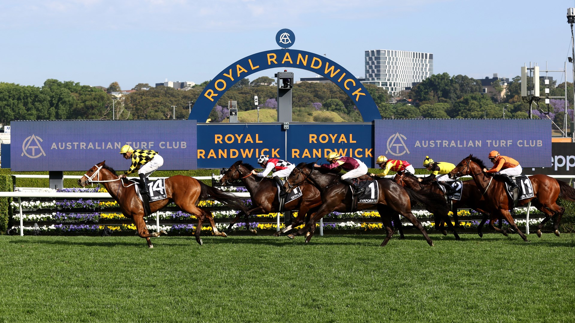 Randwick Betting Tips for October 31, 2026 - Race-by-Race Preview for Golden Eagle Day