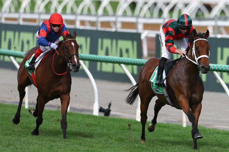 Lady Shenandoah