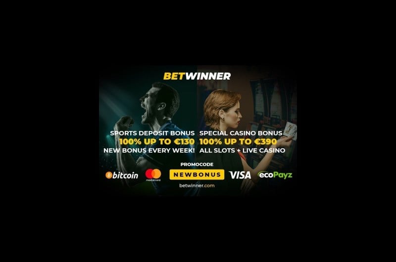 Betwinner Sports Bets Money Experiment