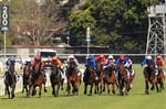 newcastle tips for 18.05.2021