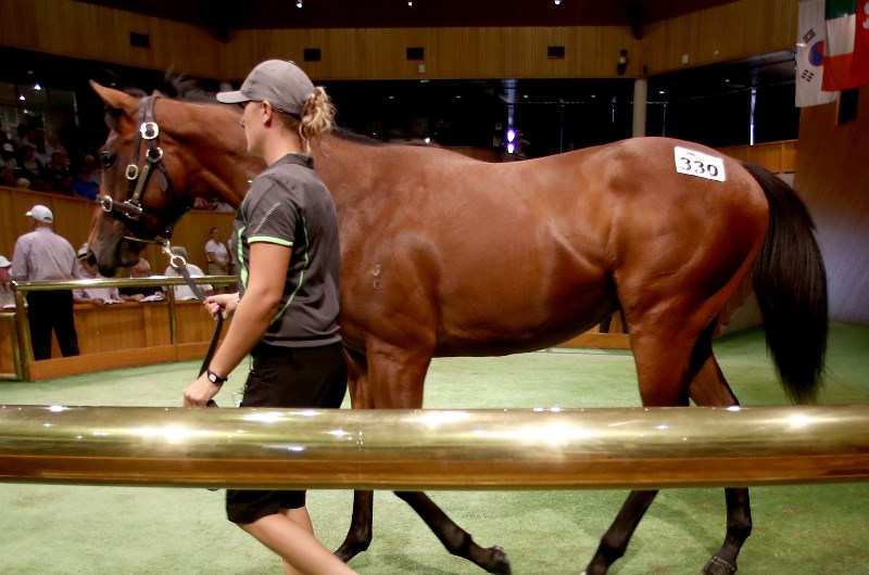 Boutique trainer Mark Blackie looks to have an able deputy in Le Castile