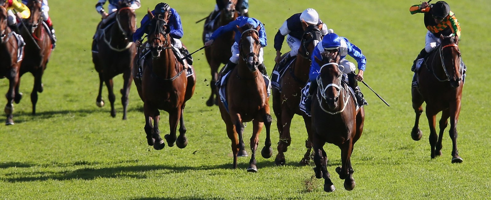 The Championships 2018 betting, tips and news Group 1 feature racing