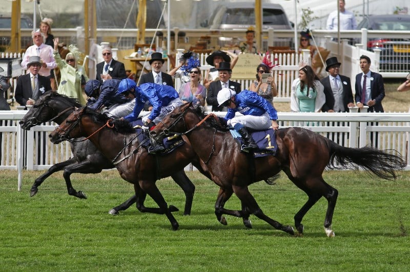 Harry Angel on track for Royal Ascot target