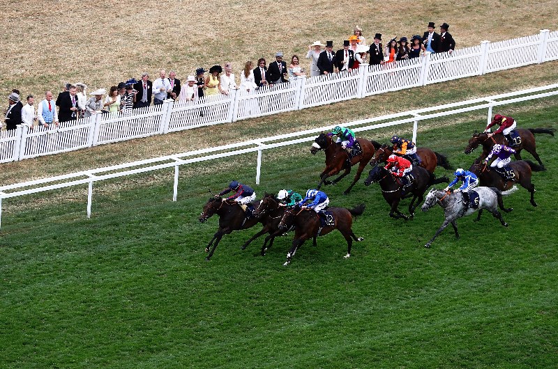 The Tin Man seeks Ascot defence