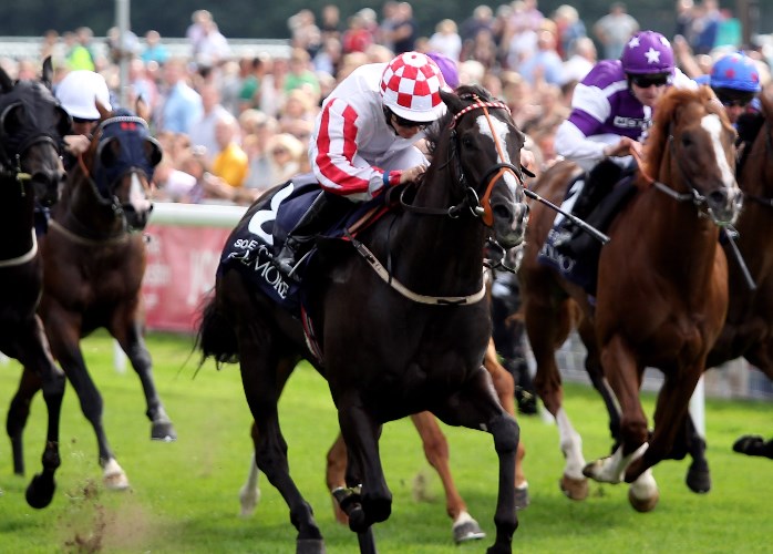 2024-ebor-festival-tips-free-expert-tips-racinginsider