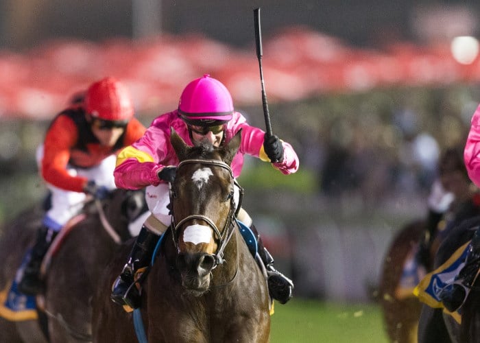 South Africa horse racing tips & predictions betting guides, race