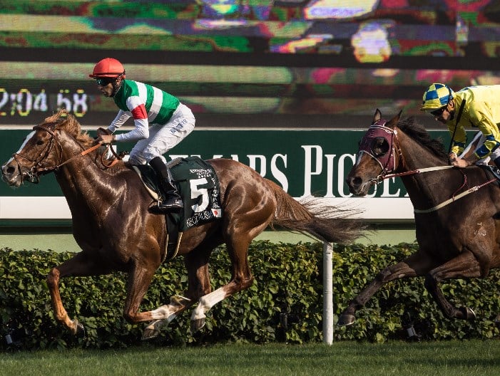 Hong Kong Racing Betting Tips, Best Bookmakers & Free Bets