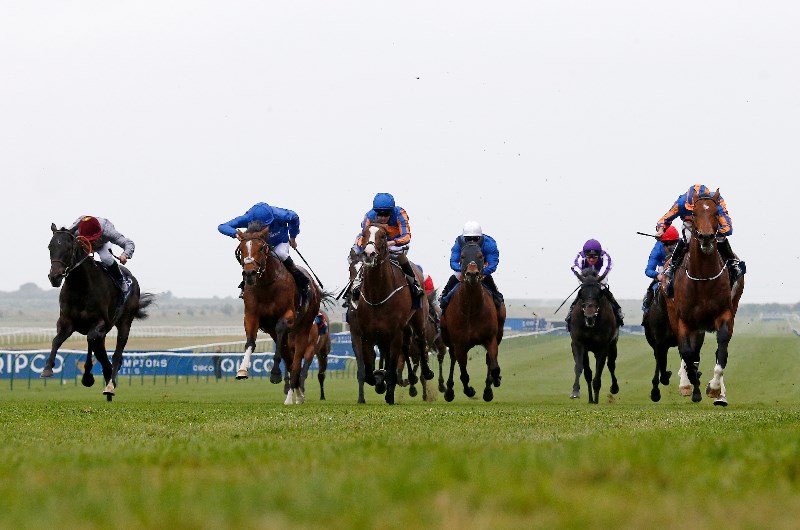 Eminent Royal on trial for Royal Ascot spot