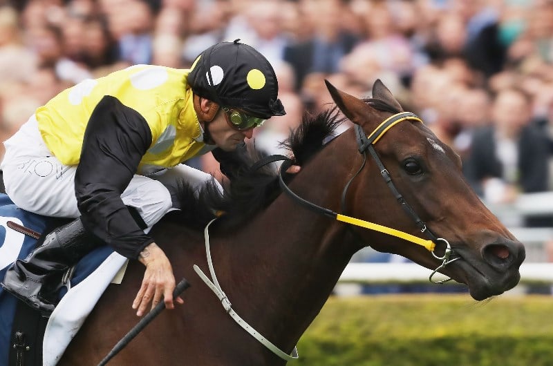 Stradbroke Handicap Tips & Betting Predictions