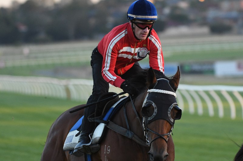 Merchant Navy pleases new trainer Aidan O'Brien