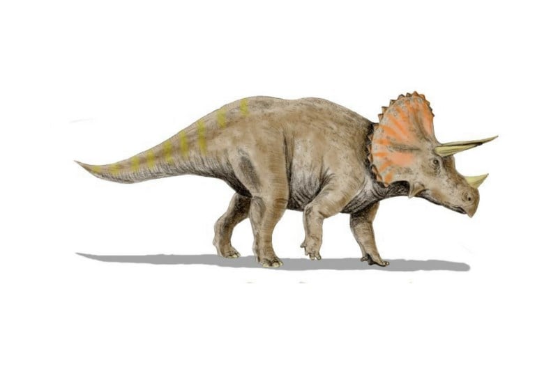 triceratops emoji