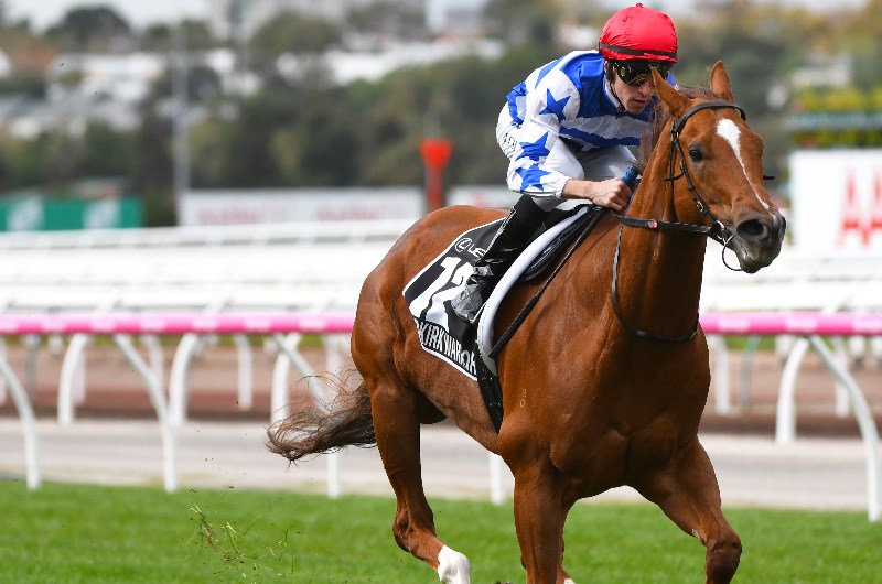 Redkirk Warrior Royal Ascot