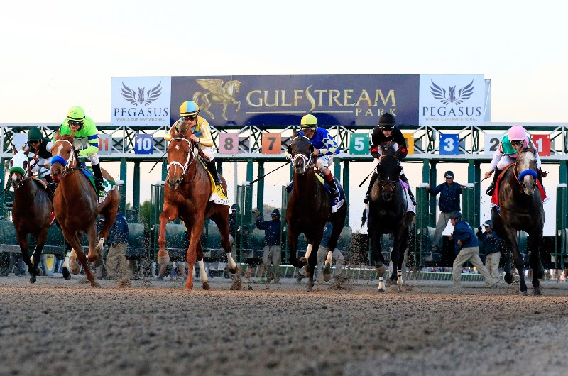 2020 Pegasus World Cup Preview, Betting Predictions & Tips which
