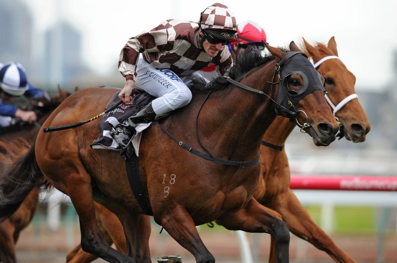 Kingston Town Classic Preview, Betting Predictions & Tips