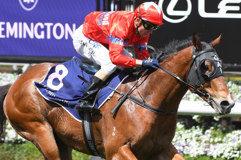 Magic Millions 2YO Preview, Betting Predictions & Tips