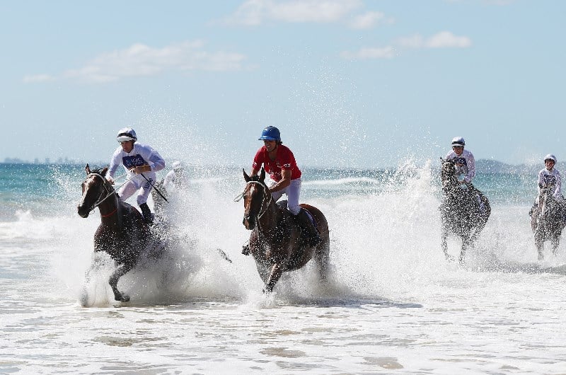 Magic Millions Magic Millions
