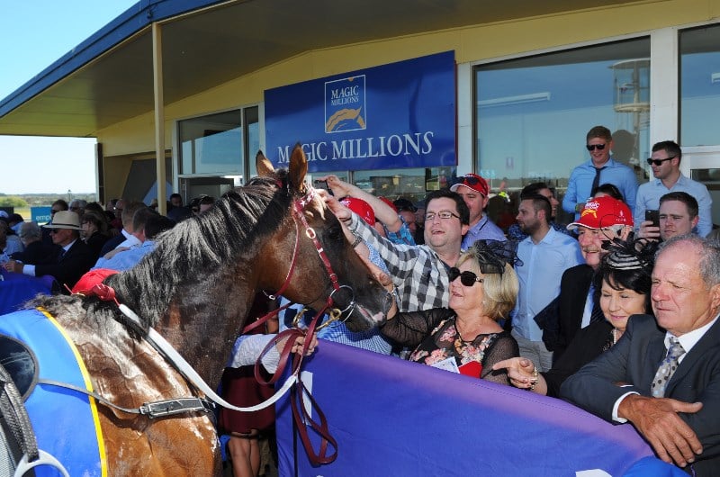 Magic Millions Cup