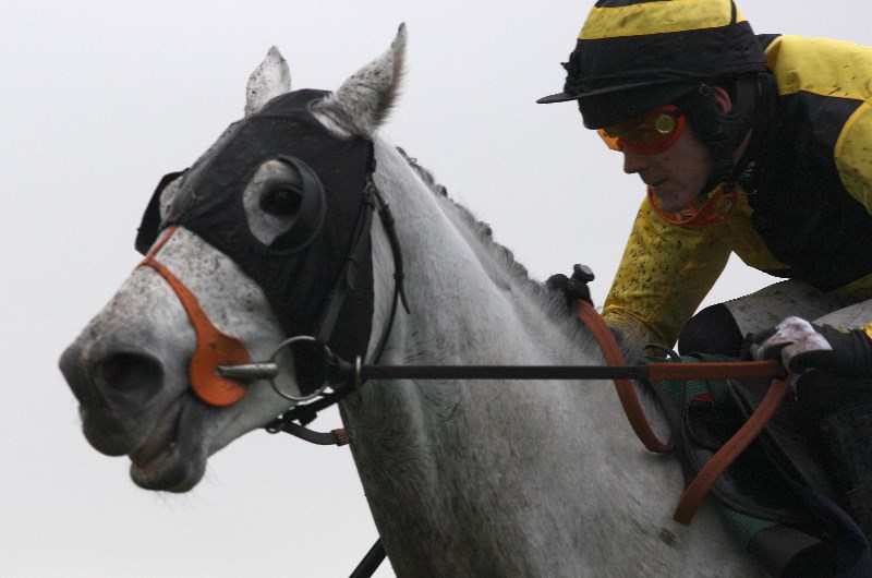 Ballymore Novice