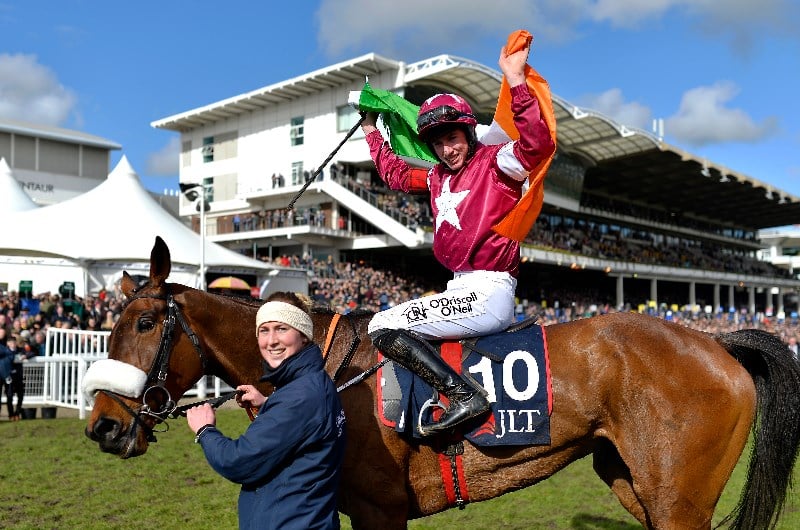 JLT Novices