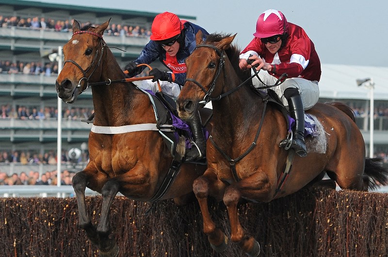 RSA Chase horse