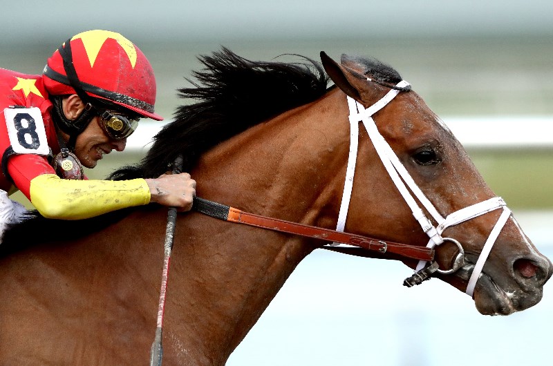 Gulfstream park