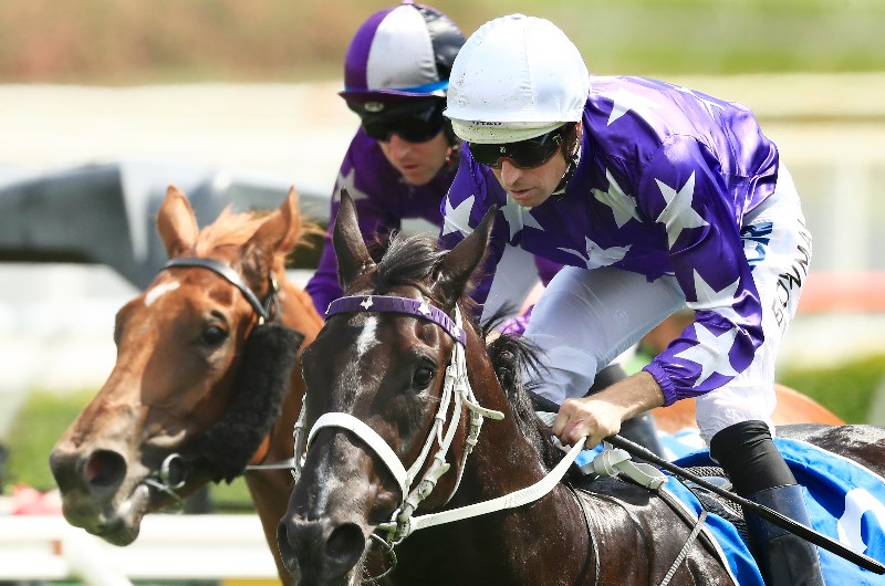 Accession Randwick