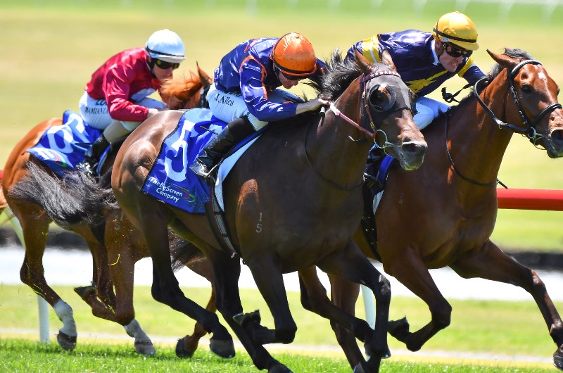 Declares War Sandown