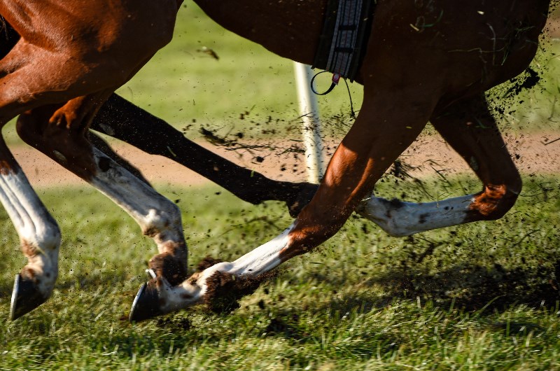 Warrnambool Racing Warrnambool Racing