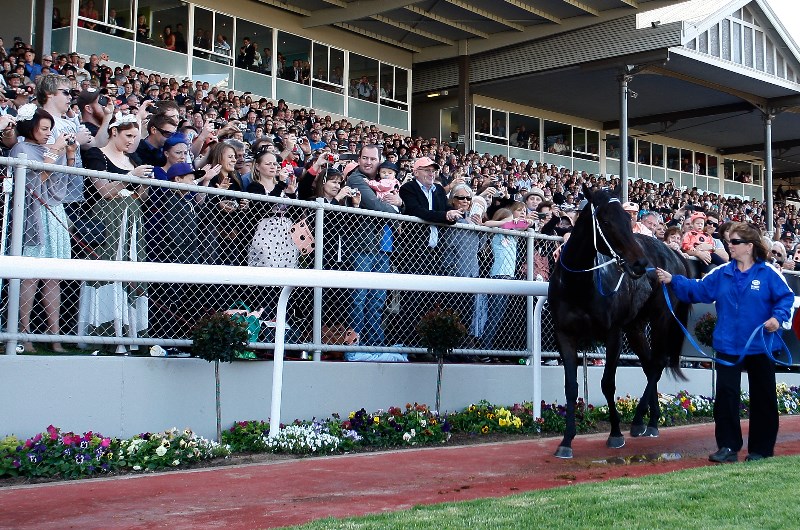Morphettville Racecourse Morphettville Racecourse