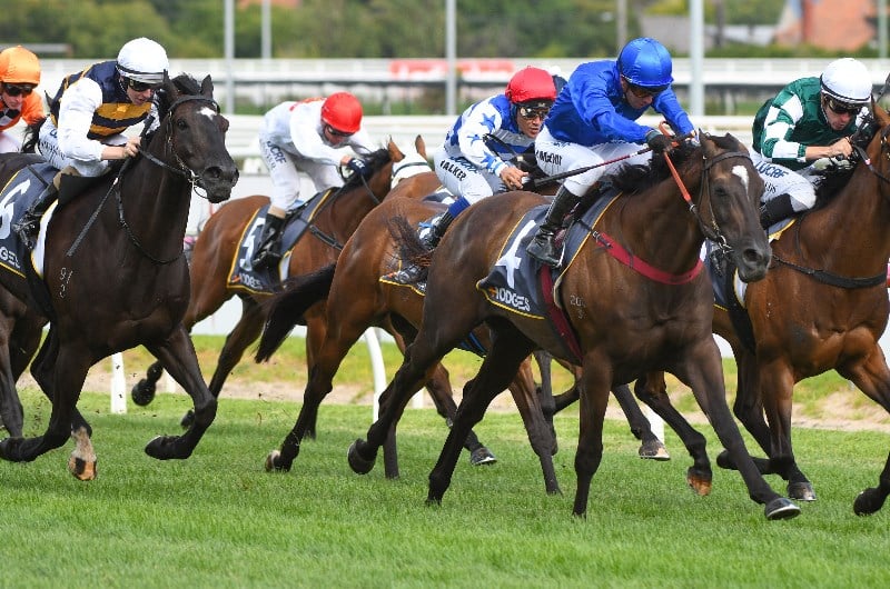 Horse Racing Horse Racing