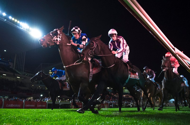Horse Racing Horse Racing