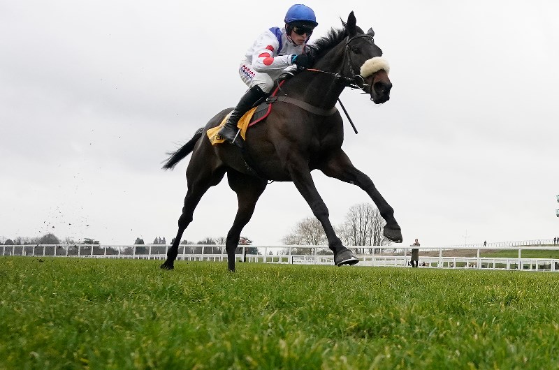 Horse RAcing Horse RAcing