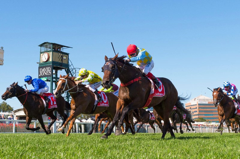 Oakleigh Plate Oakleigh Plate