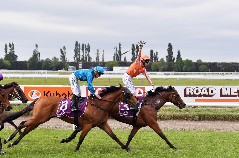 1000 Guineas NZ 1000 Guineas NZ