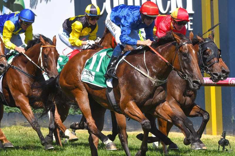 2019 Futurity Stakes 2019 Futurity Stakes