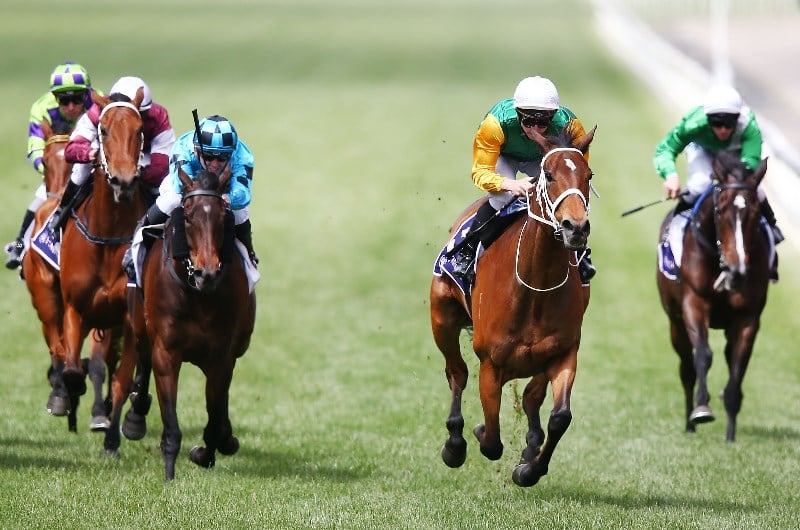 Empire Rose Stakes Empire Rose Stakes