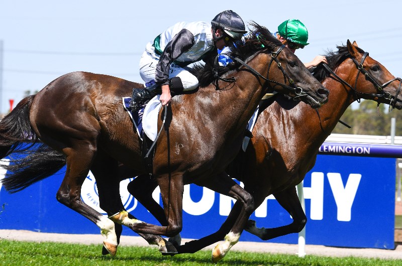 Horse Racing Horse Racing