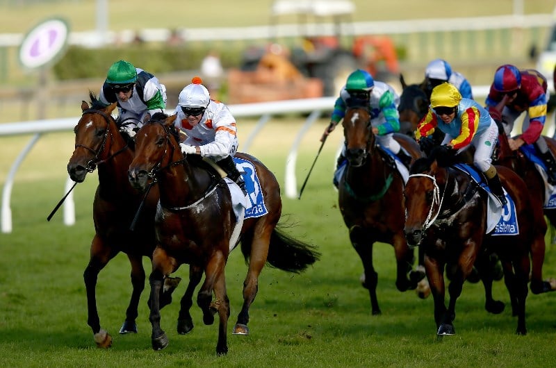 Horse Racing Horse Racing