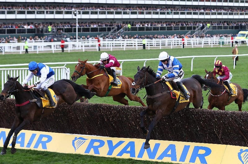 Frodon Frodon