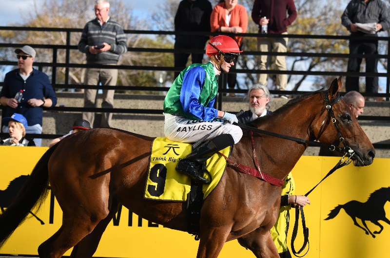 Horse Racing Horse Racing