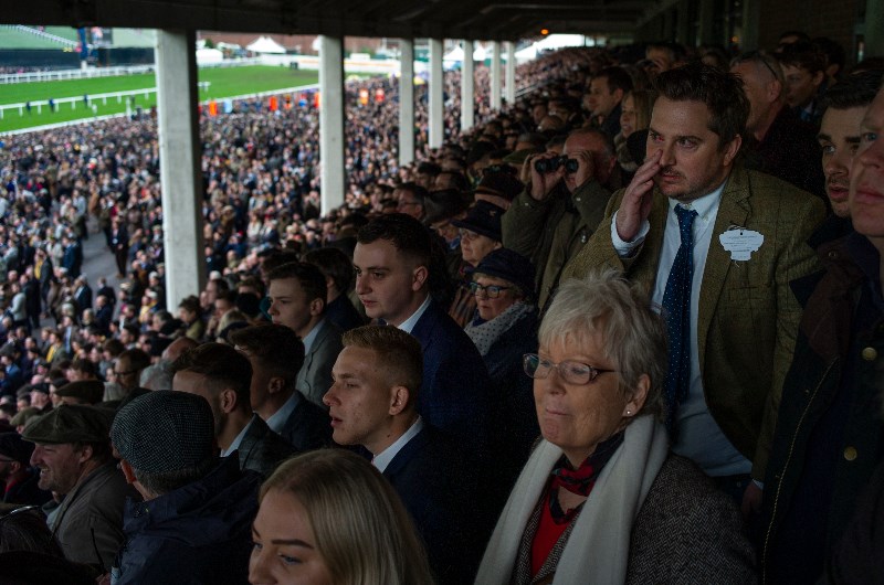 Horse Racing Horse Racing