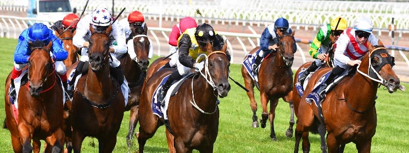 Black Caviar Flemington Black Caviar Flemington